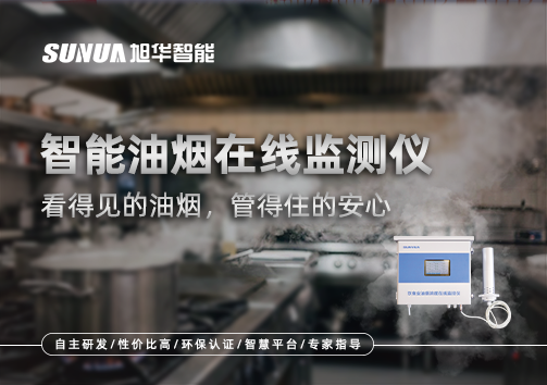 智能油烟在线监测仪：看得见的油烟，管得住的安心